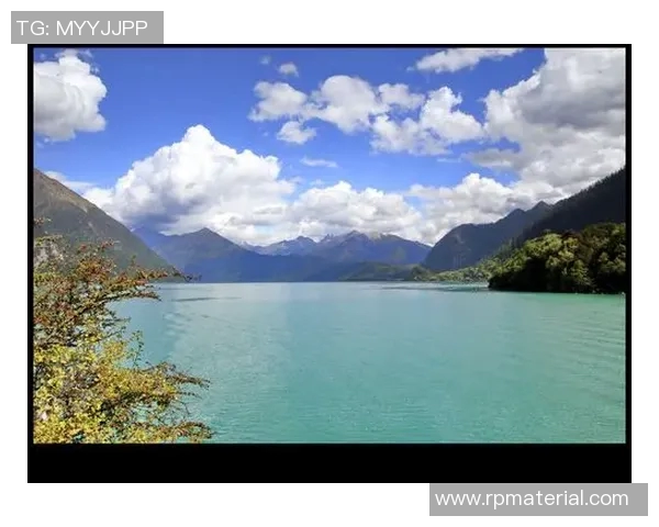 萨阿迪的诗歌魅力与文化影响力探讨之旅