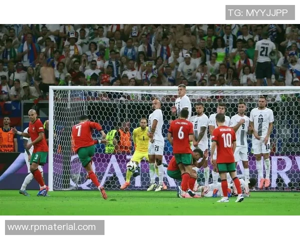 斯洛文尼亚与法国的足球对决分析与精彩瞬间回顾